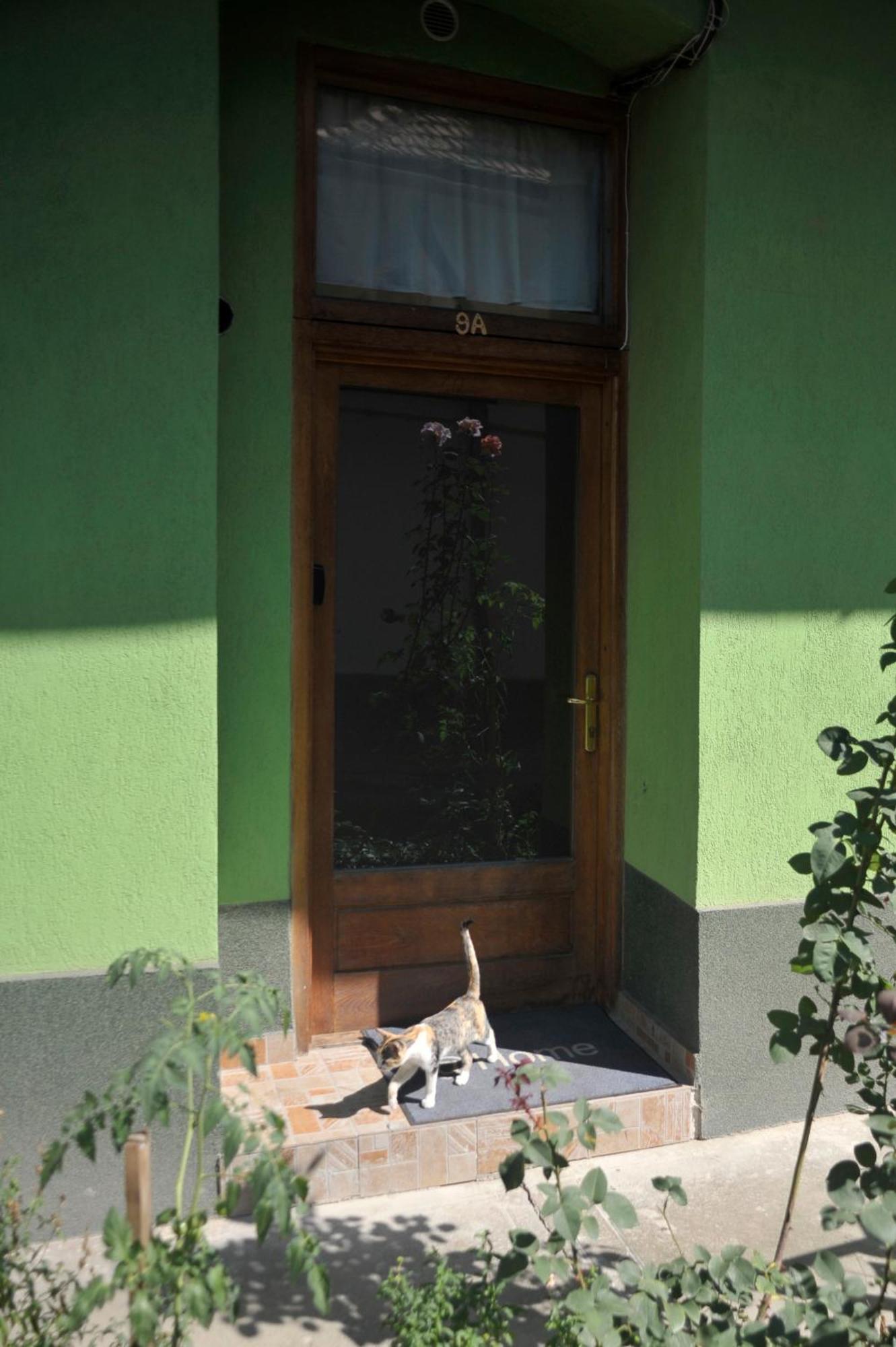 Atu Central Apartment Kolozsvár Kültér fotó